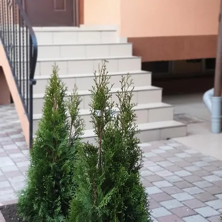 Apartment Villa Appartement