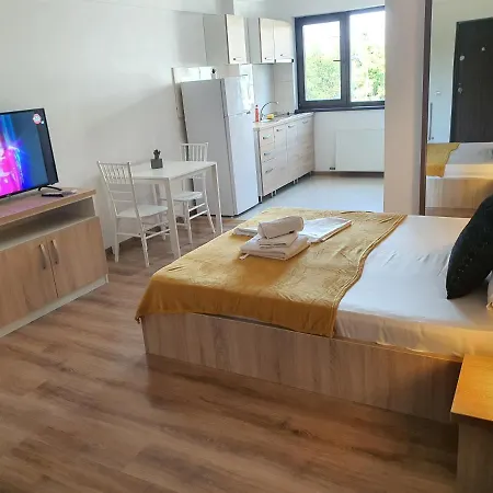 Apartment Villa Bükreş